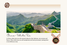 Load image into Gallery viewer, China- 10 oz Soy Candle
